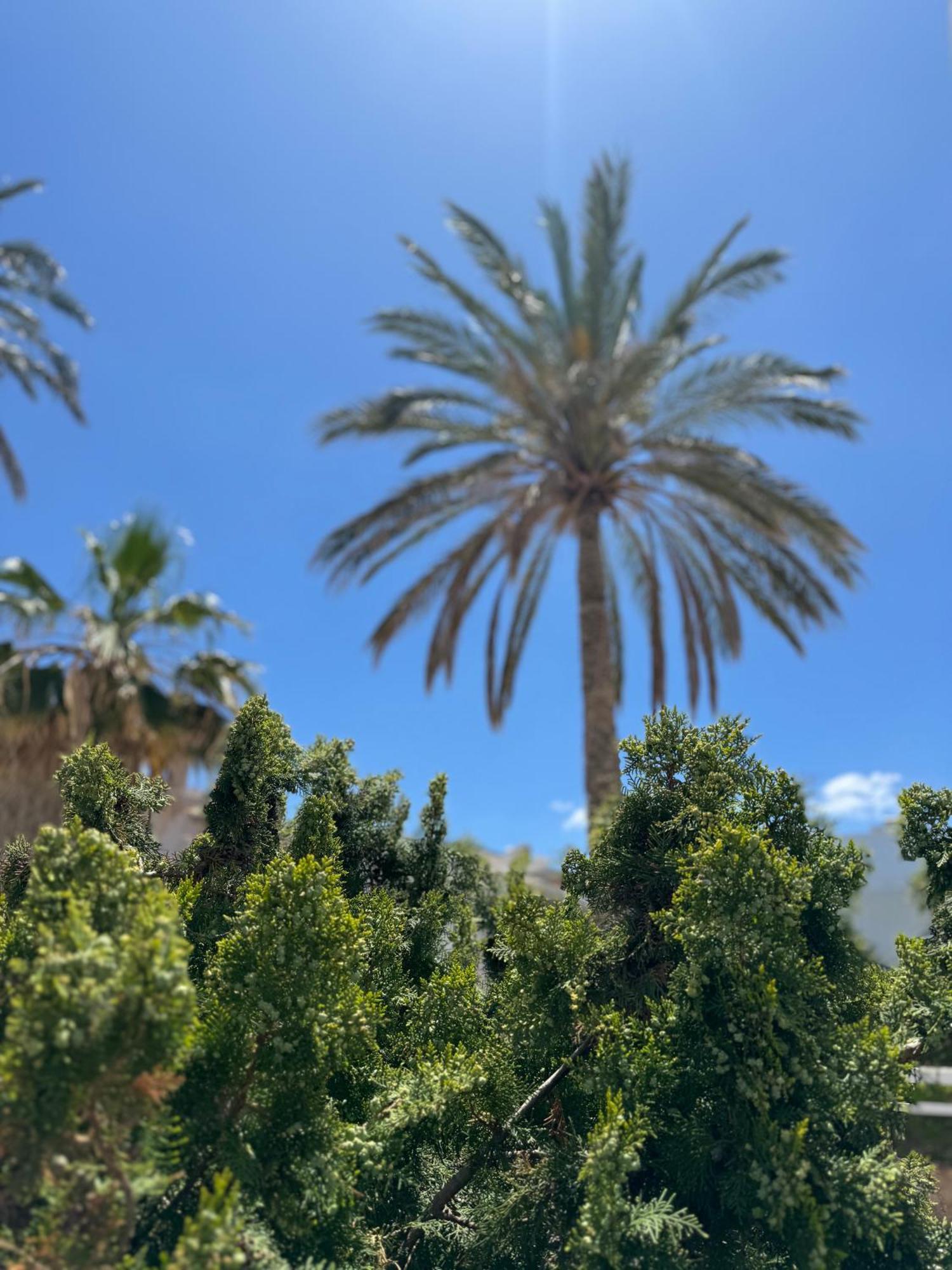 Simple Hotel Hersonissos Blue מראה חיצוני תמונה