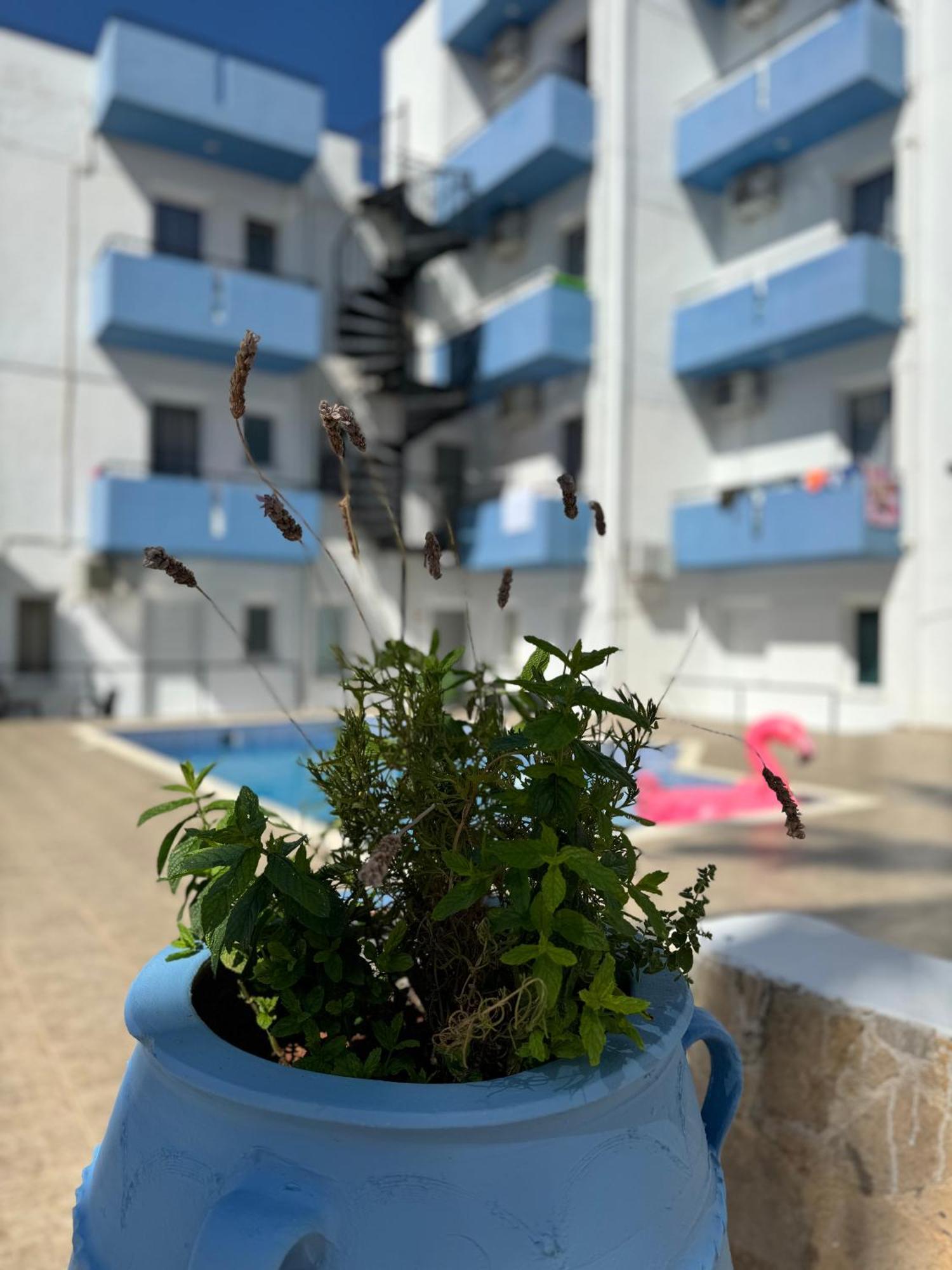 Simple Hotel Hersonissos Blue מראה חיצוני תמונה